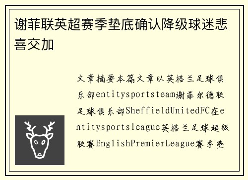 谢菲联英超赛季垫底确认降级球迷悲喜交加